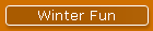 Winter Fun