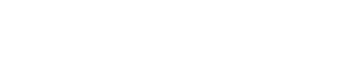 Detroit Red Wings