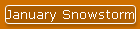 January Snowstorm