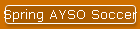 Spring AYSO Soccer