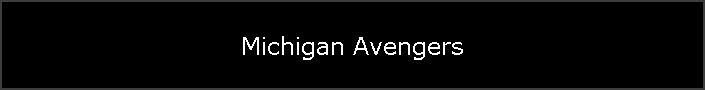 Michigan Avengers