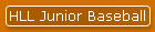HLL Junior Baseball