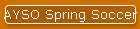 AYSO Spring Soccer