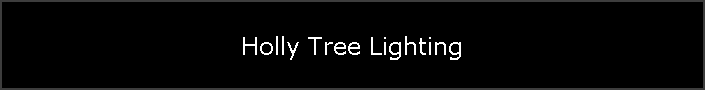 Holly Tree Lighting